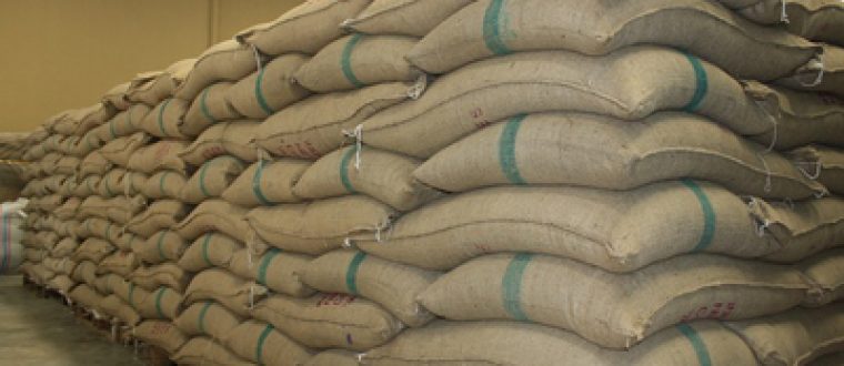 ייעוץ מקצועי ליבואנים ויצואנים